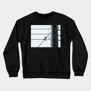 birds on a wire Crewneck Sweatshirt